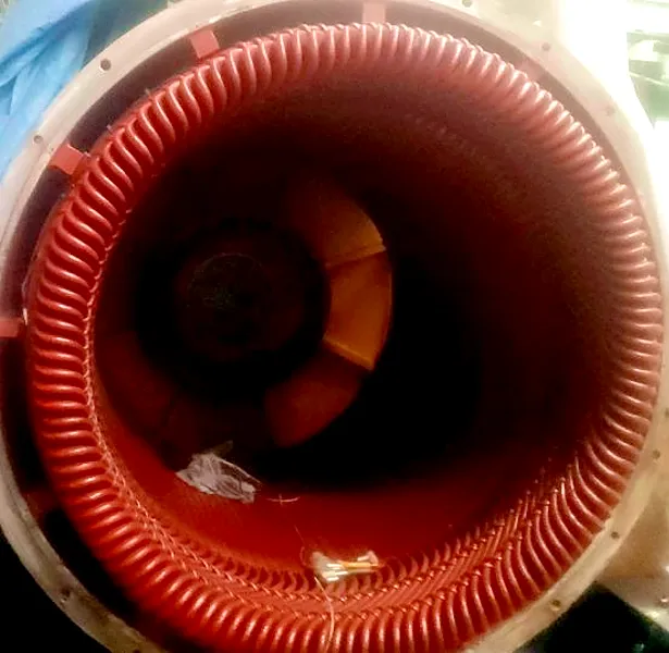 Stator winding inspection